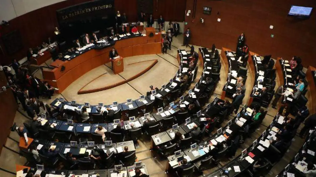 CUARTOSCURO senado